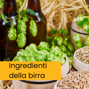 ingredienti della birra (1)